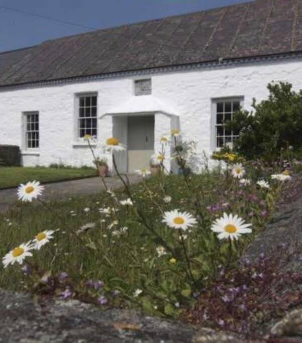 The Old Chapel Villa St Davids Eksteriør billede