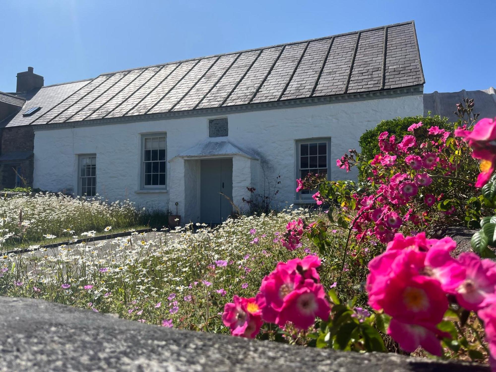 The Old Chapel Villa St Davids Eksteriør billede